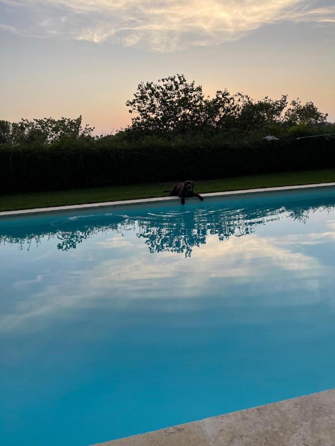 Appart13 Piscine Chauffee De Luxe Belvoir13 A 10 Min D Aix Aix-en-Provence Exterior foto